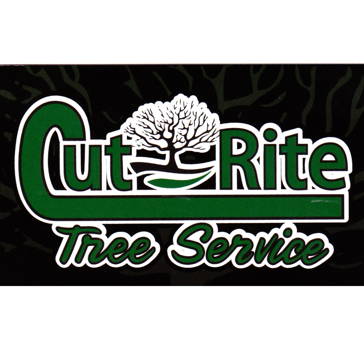 Avatar for Cut Rite Tree Service