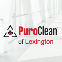 Avatar for PuroClean of Lexington
