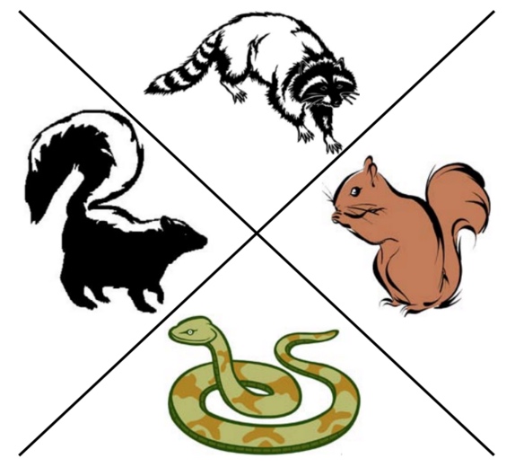 Avatar for Critter Gitter Wildlife Removal