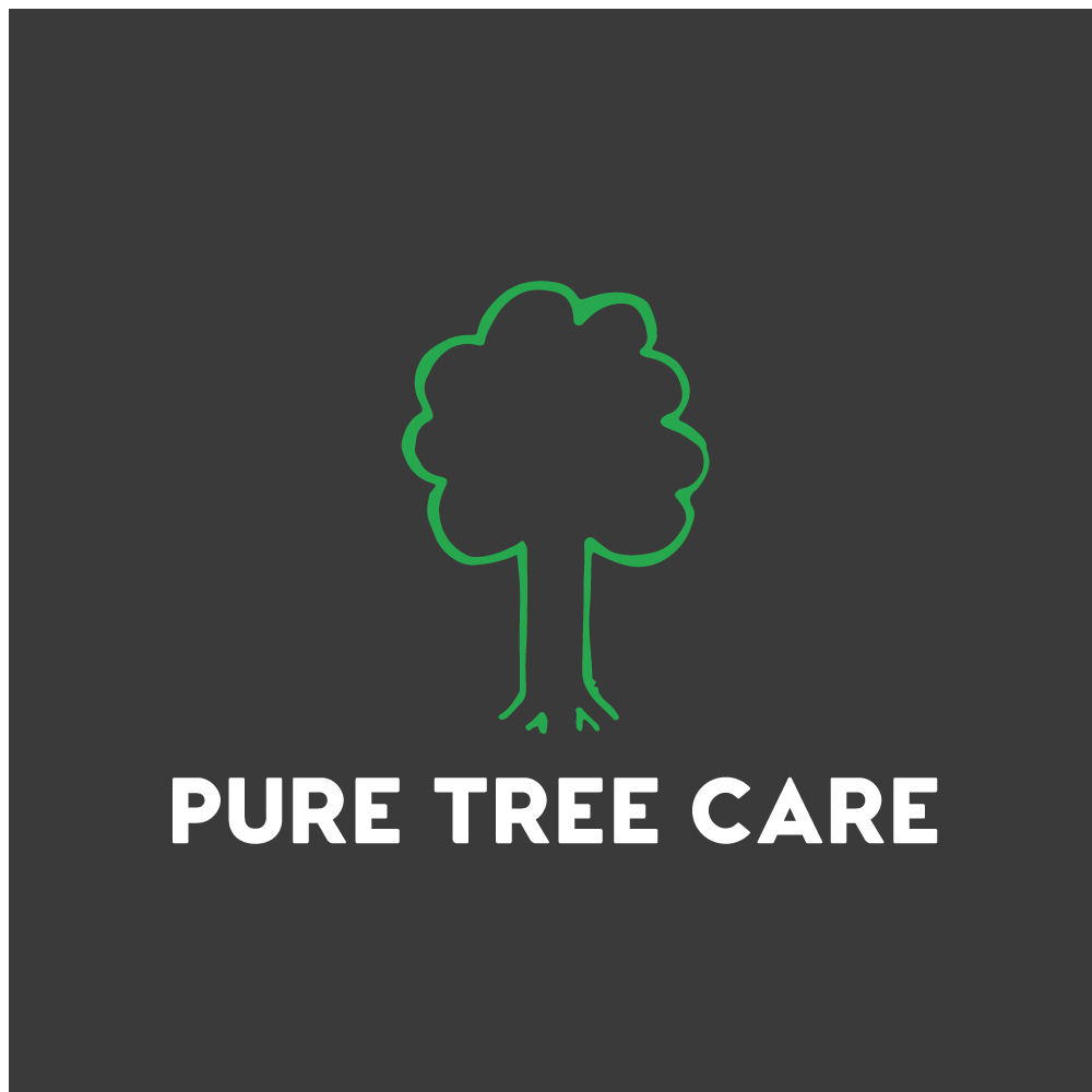 Logo for Pure Tree Care