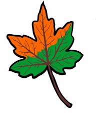 Avatar for Leaving Beauty Landscape LLC