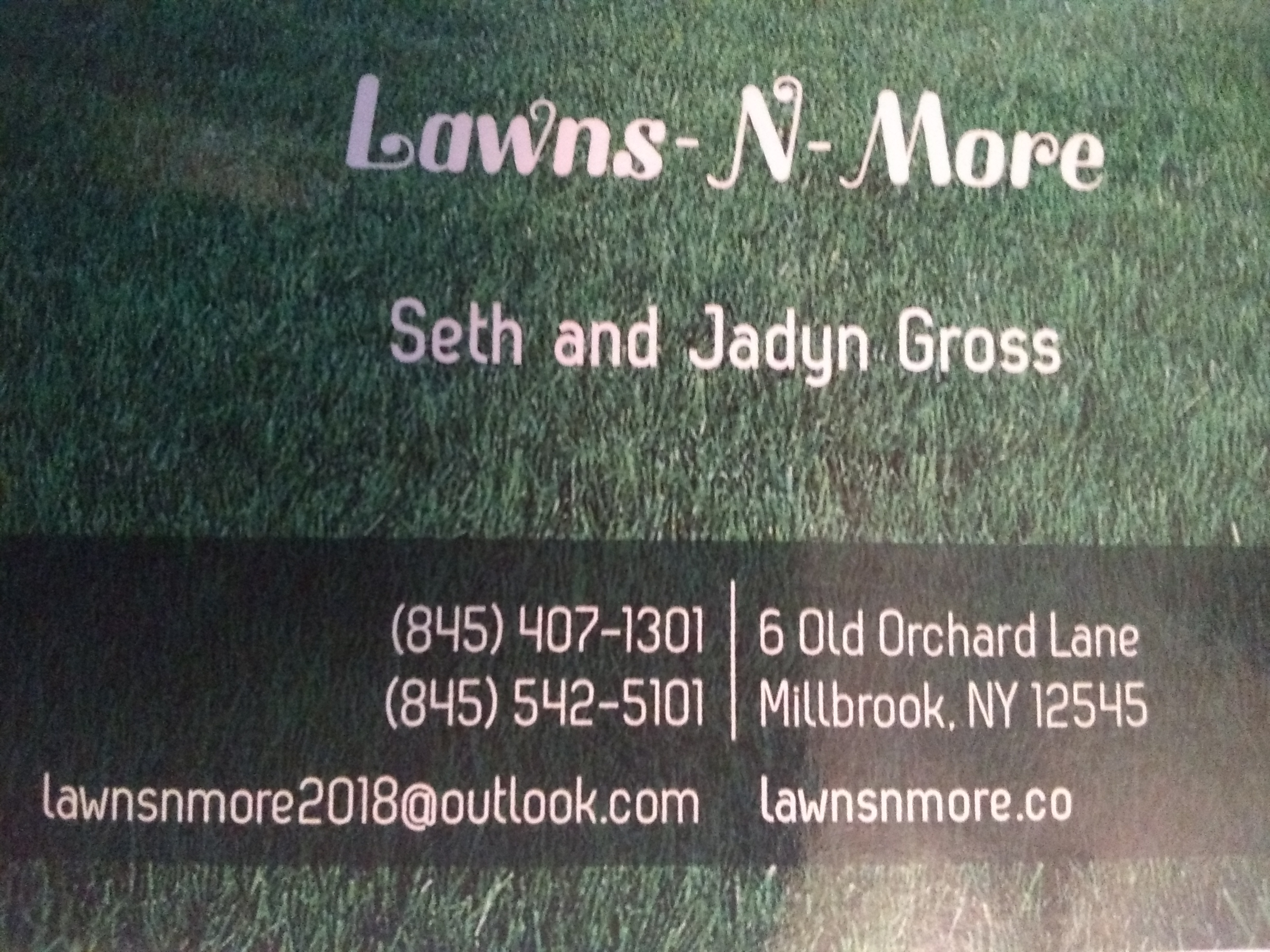 Logo for Lawns-N-More