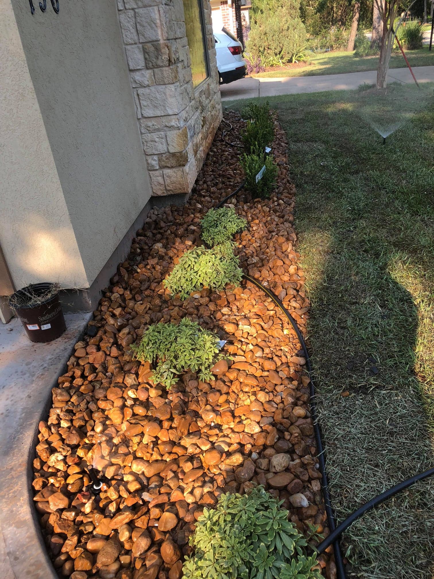 Avatar for New Color Landscape Services