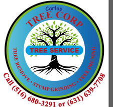 Avatar for CARLOS LANDSCAPE AND TREE CORPORATION