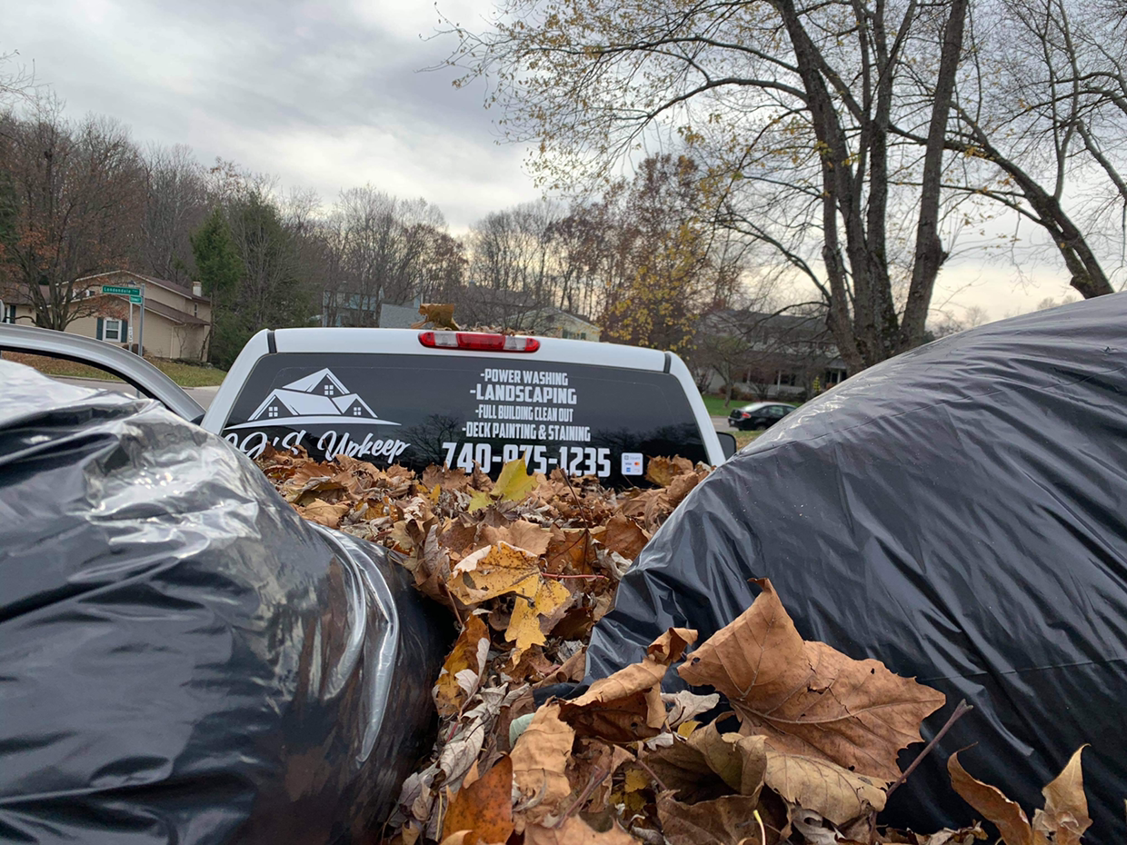 Avatar for Cj’s upkeep