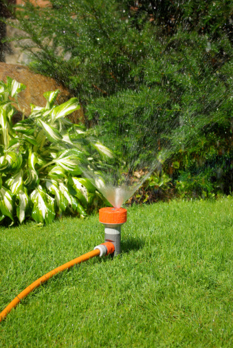 Avatar for Palomares Landscaping