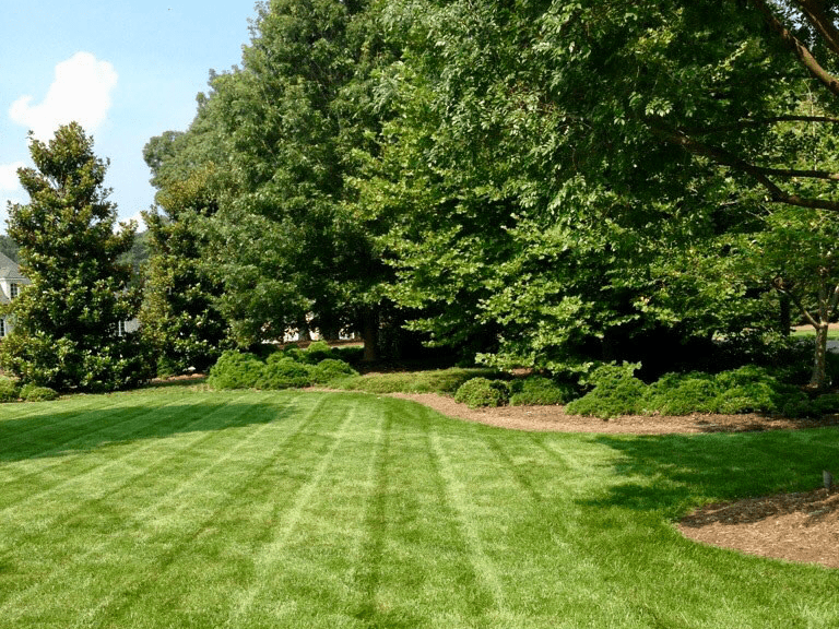 Avatar for Owen's Landscaping