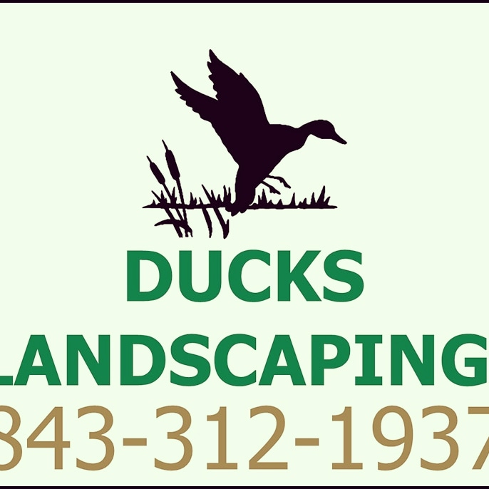 Logo for Ducks landscaping and design