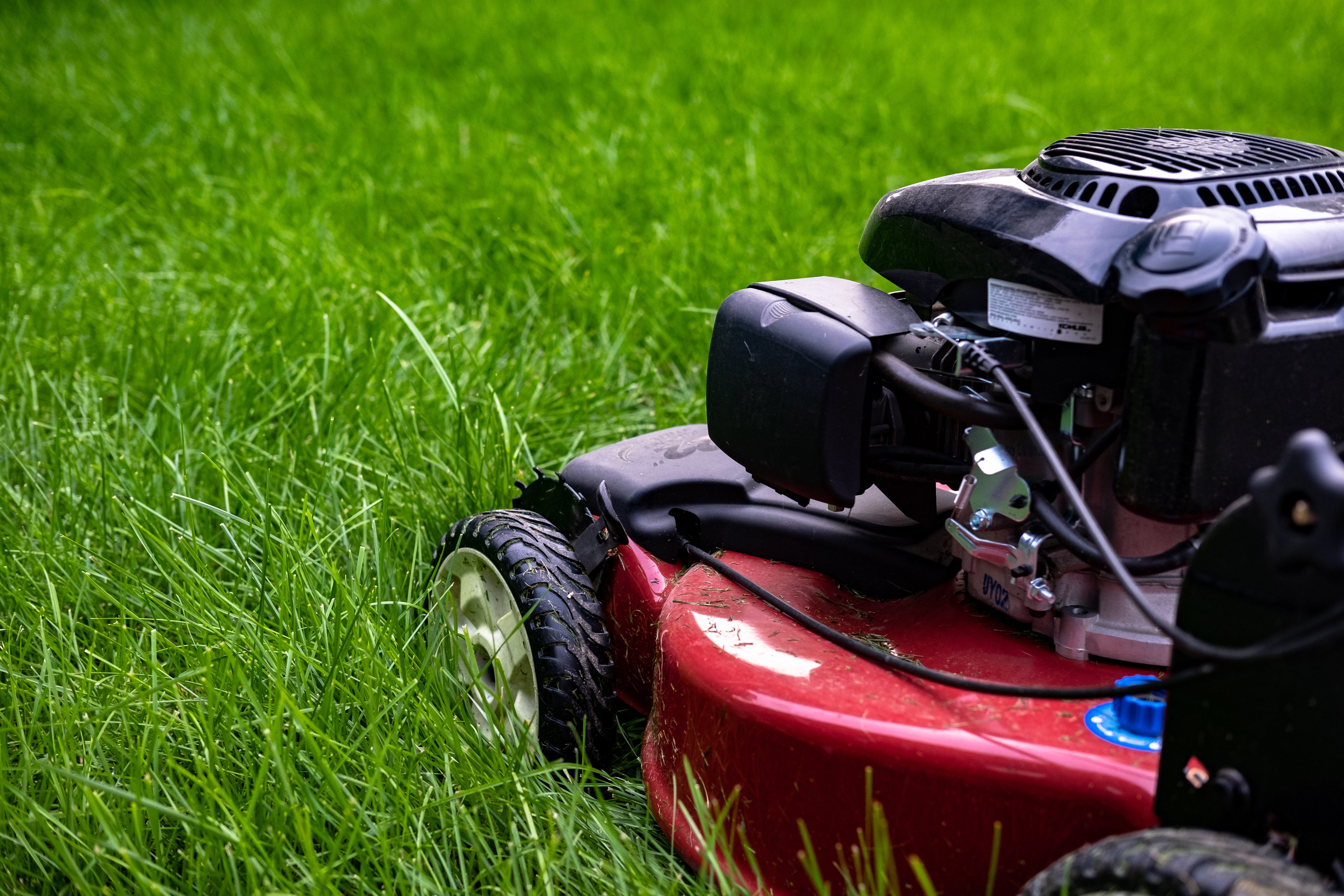 Avatar for Miller's Mowing