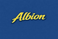 ALBION CONTRACTING, INC. logo