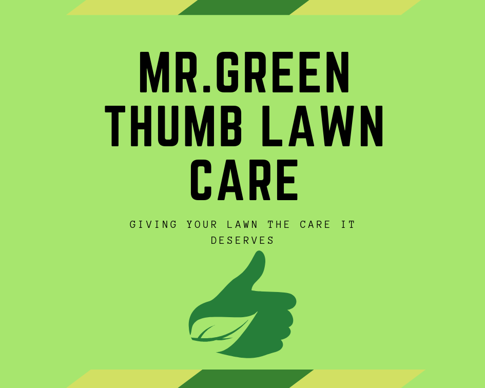 Avatar for Mr. Green Thumb Lawn Care