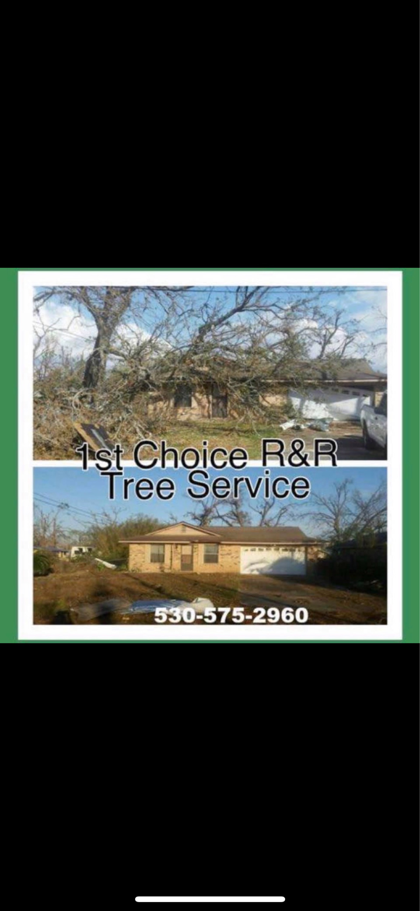 1st Choice R&R Tree Service logo
