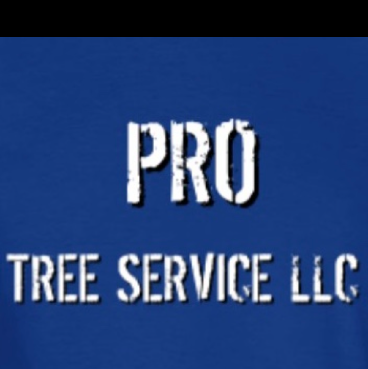 Avatar for LC Lawncare & Stump Grinding