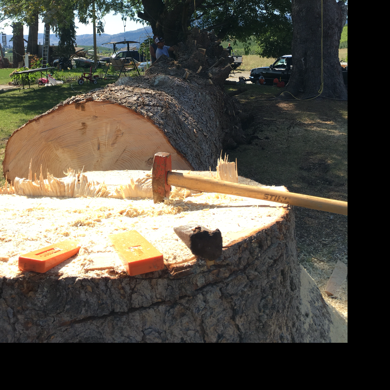 Avatar for Arbor Valley