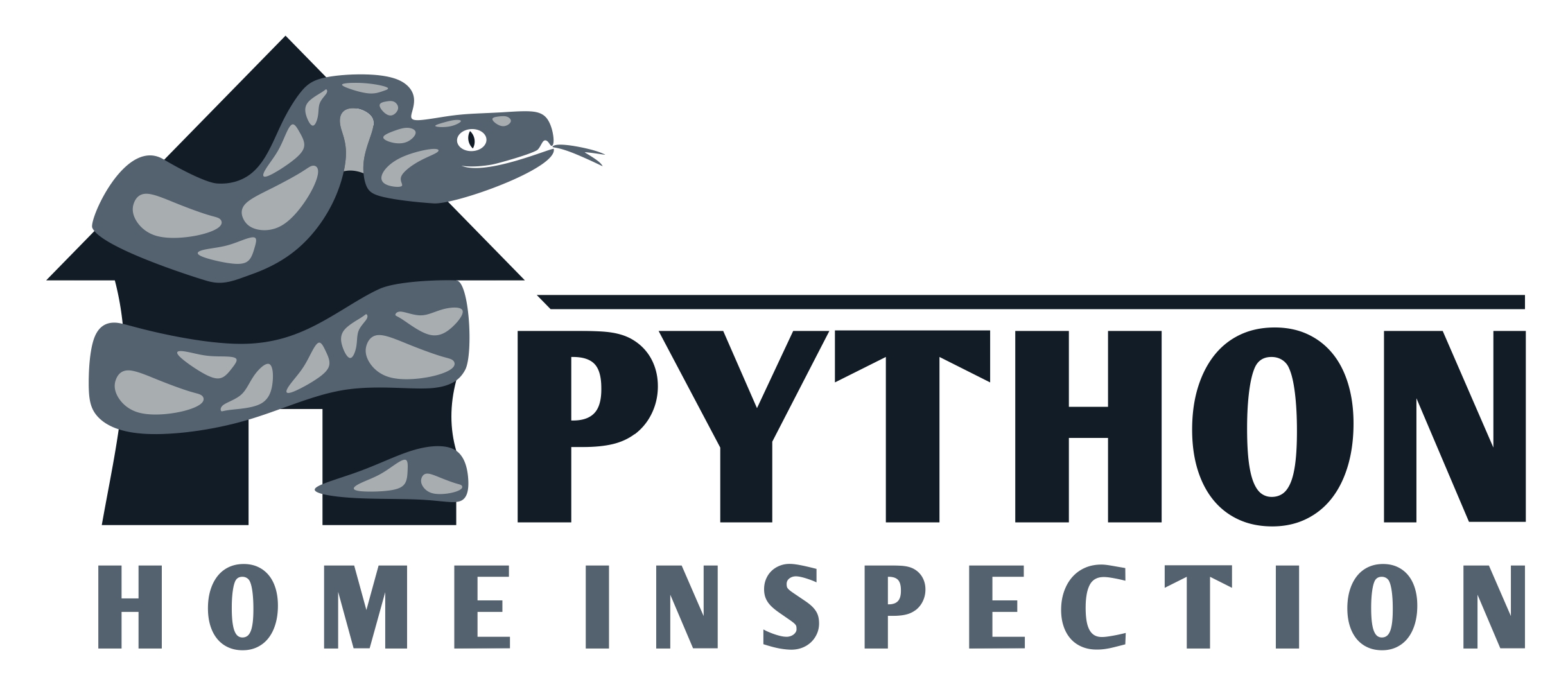 Avatar for Python Home Inspection
