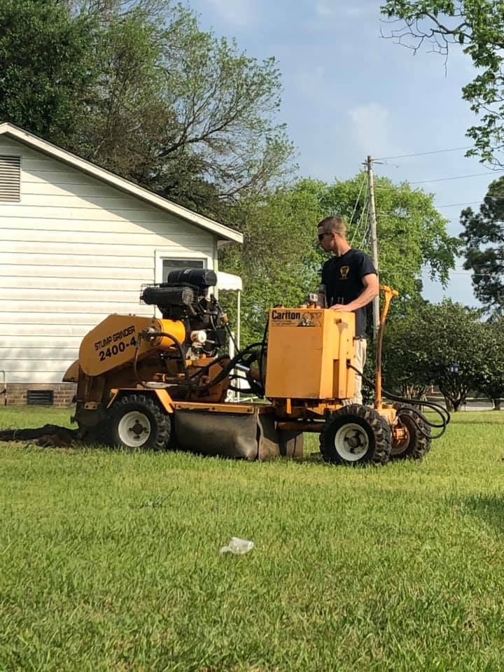 Avatar for Tree Surgeons, LLC