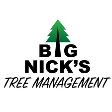 Avatar for Big Nick's Tree Management