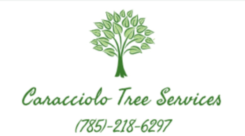 Avatar for Caracciolo Tree Services