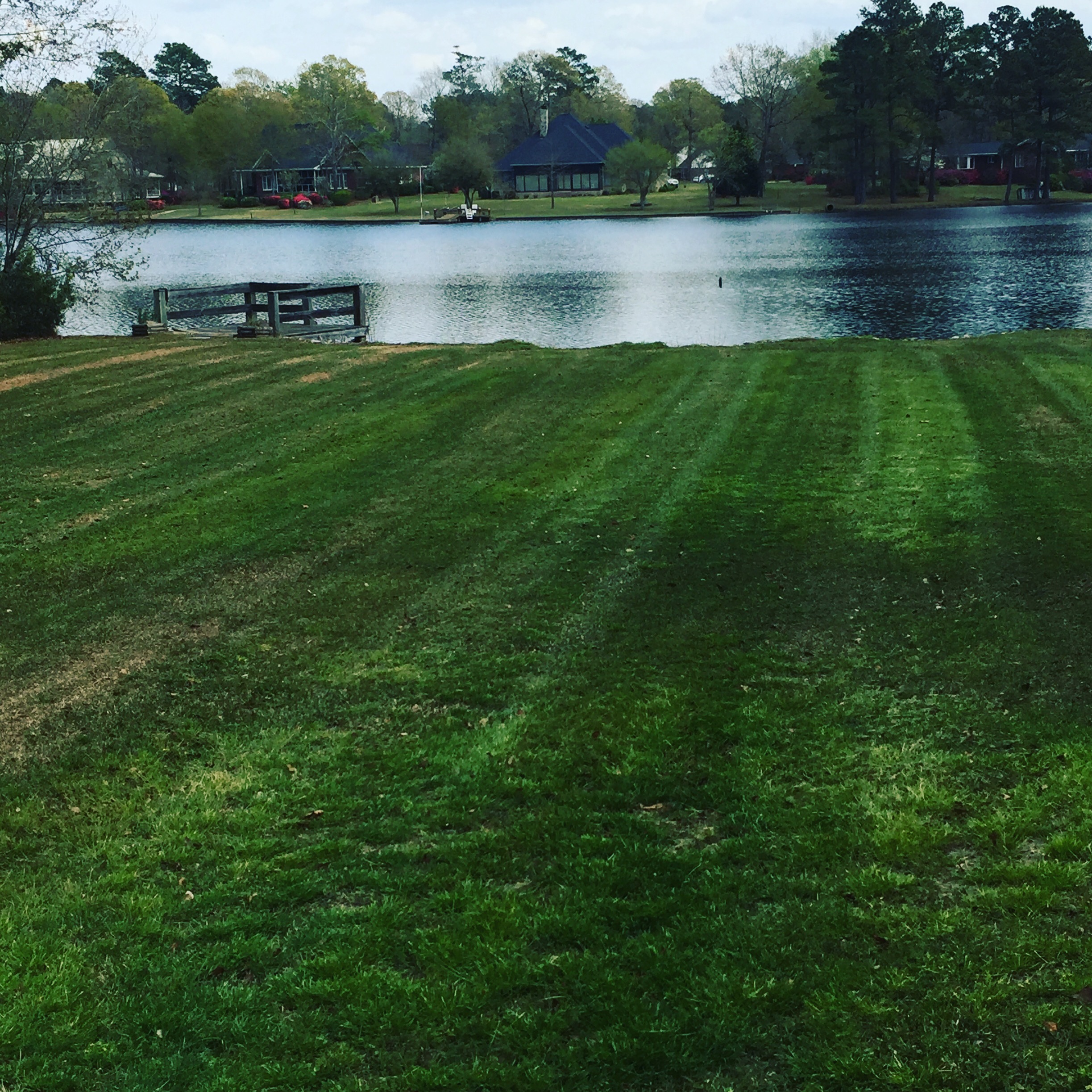 Avatar for All Above Landscaping