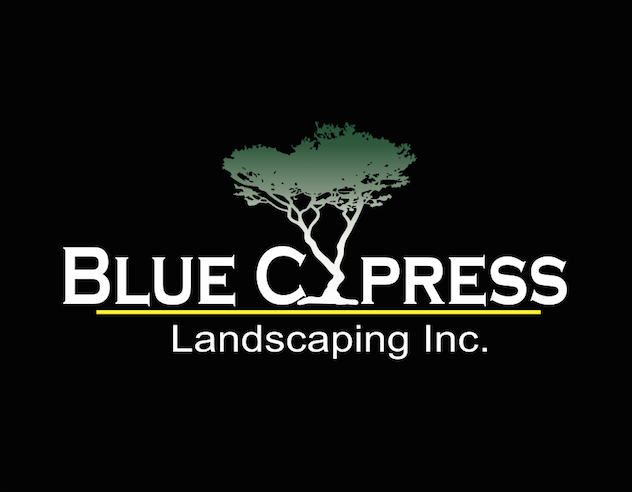 Avatar for BLUE CYPRESS LANDSCAPING INC