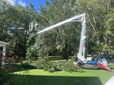 Avatar for CM TREE SERVICE