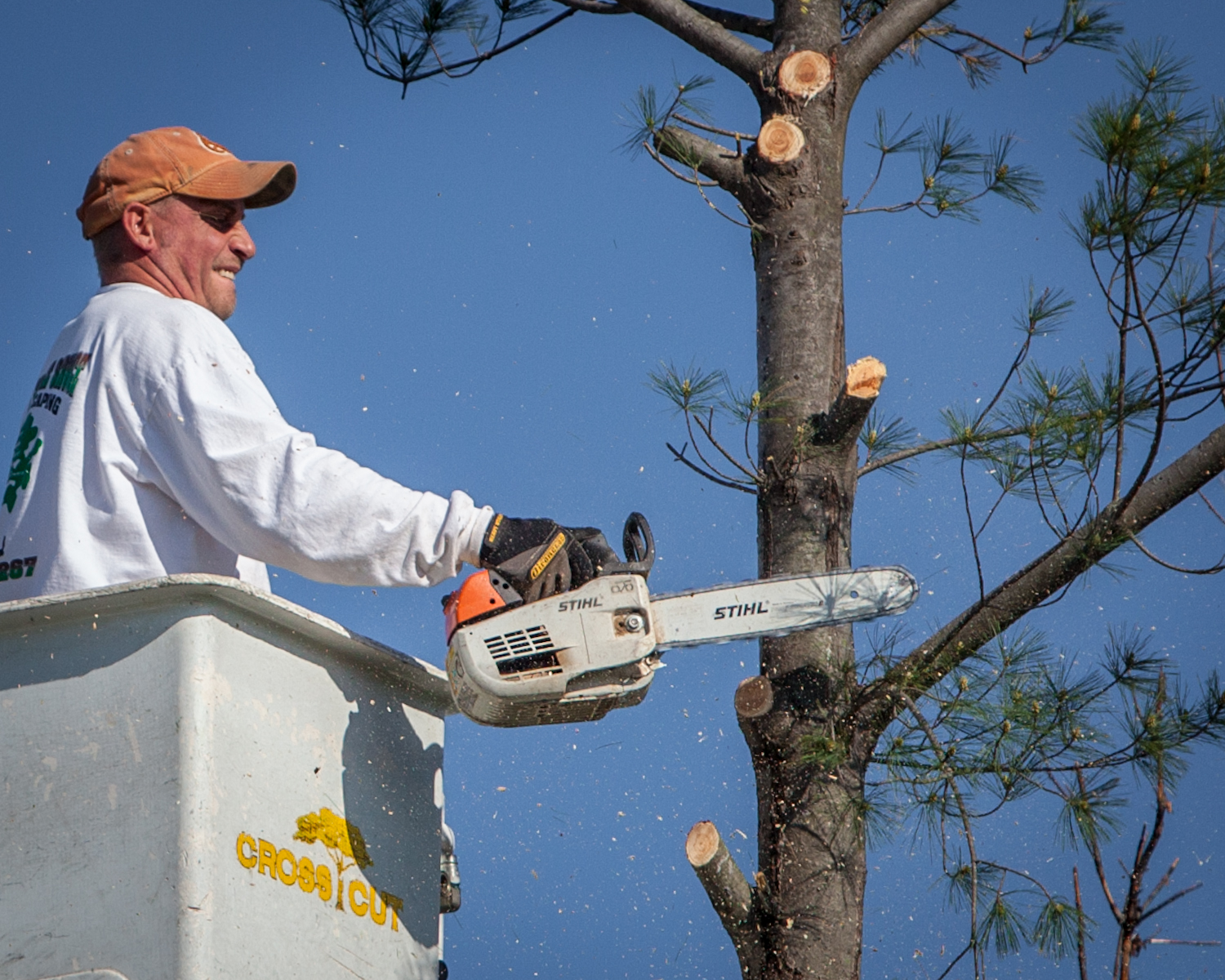 Logo for Cross Cut Tree Service and Landscaping LLC