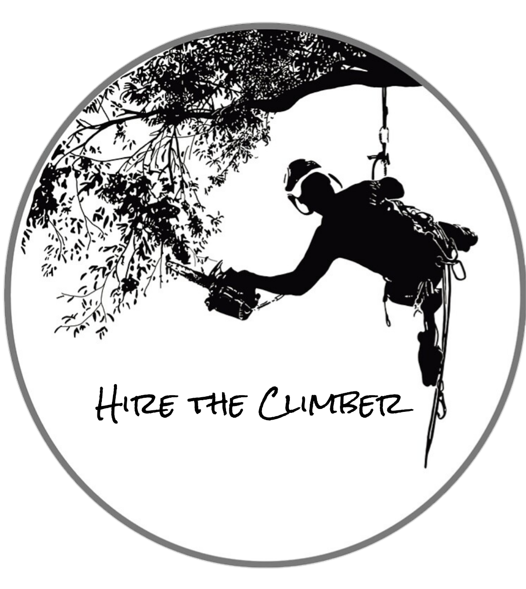 Avatar for Hire the Climber