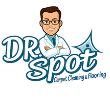 Avatar for Dr Spot Cleaning Services and Flooring