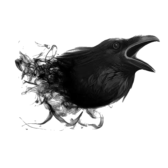 Avatar for Birds Eye Cleaning & Restoration