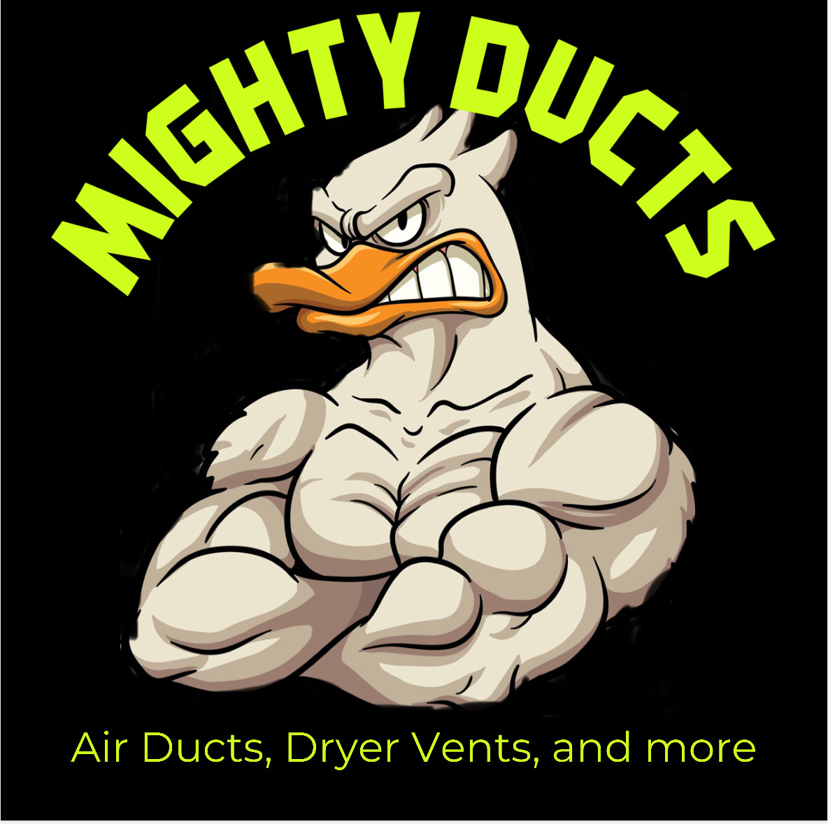 Avatar for Mighty Ducts Cleaning & Restoration