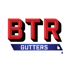 Avatar for Bring the Rain Exteriors Inc