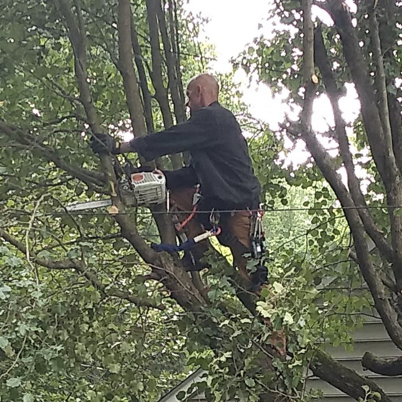 Avatar for Harless Enterprises Inc.