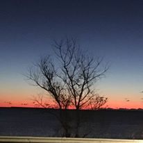 Avatar for AAO Sanitizing and Cleaning Service