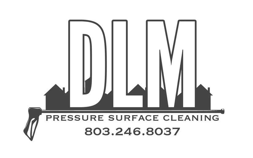 Avatar for DLM Pressure Surface Cleaning