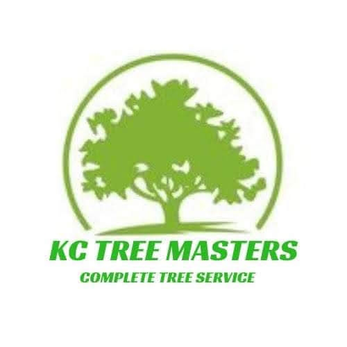 Avatar for KC Tree Masters
