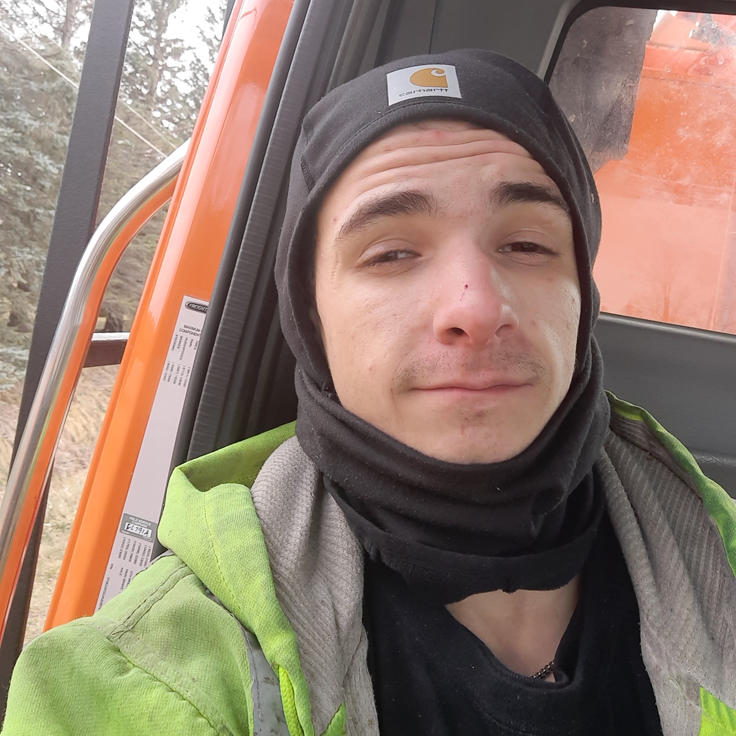 Avatar for All Times tree service