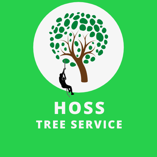 Avatar for Hoss Tree Service