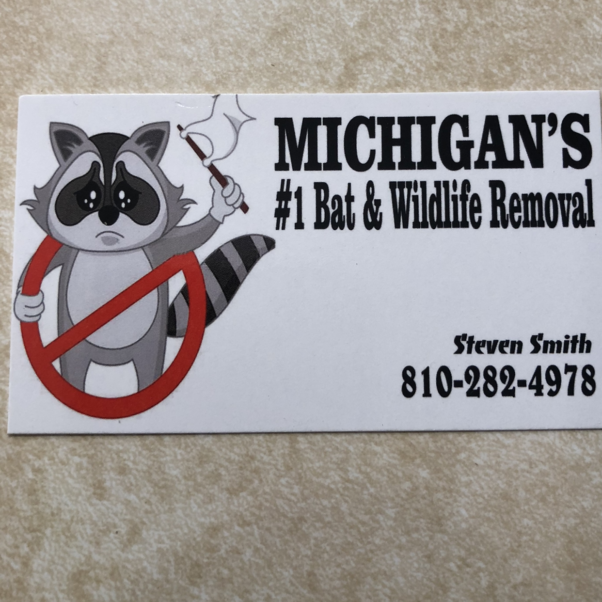 Avatar for Michigan's #1 Bat&wildlife Removal Llc.