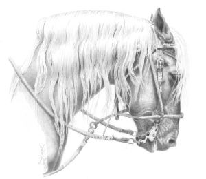Avatar for Workhorse Excavation and Construction Inc.