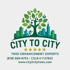 Avatar for City To City Tree Enhancement Experts Inc