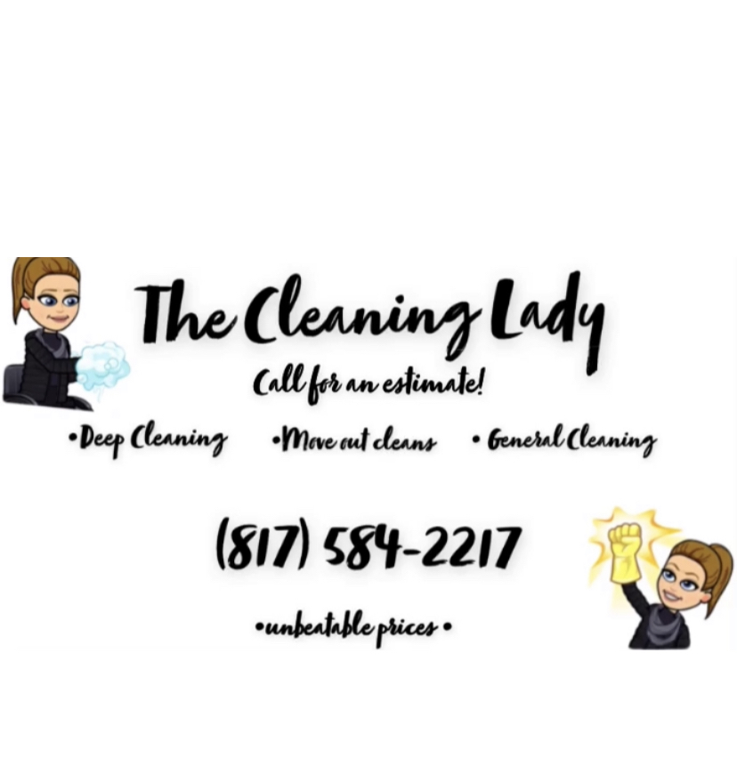 Logo for The Cleaning Lady Wise Co