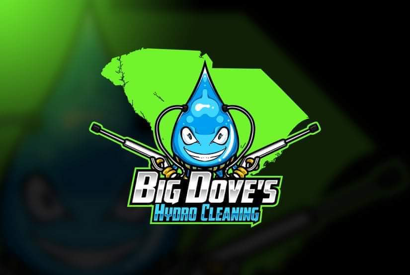 Logo for Big Dove's hydro cleaning
