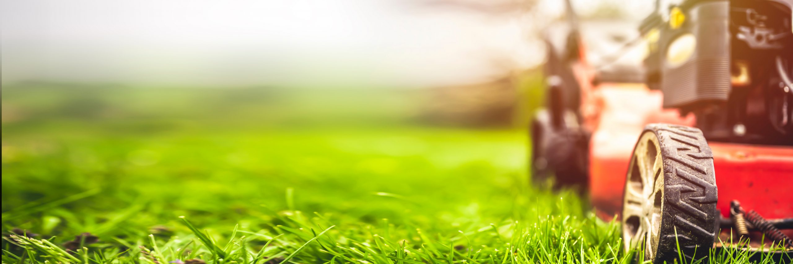 Avatar for Mowtivated lawn care