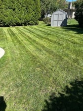 Avatar for Modern Lawnscape