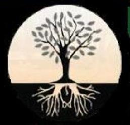 De Luca's Landscaping & Irrigation logo