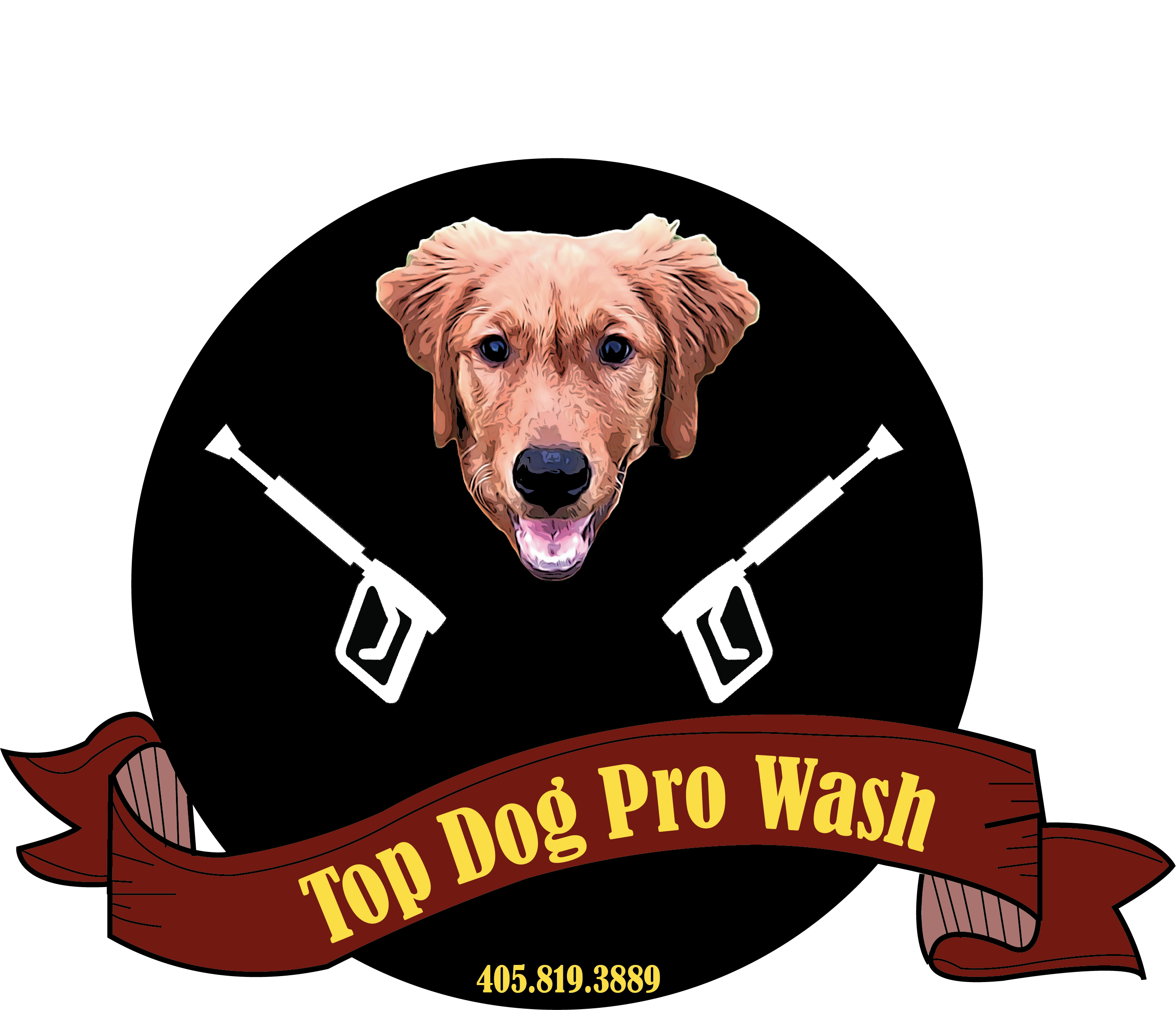 Logo for Top Dog Pro Wash