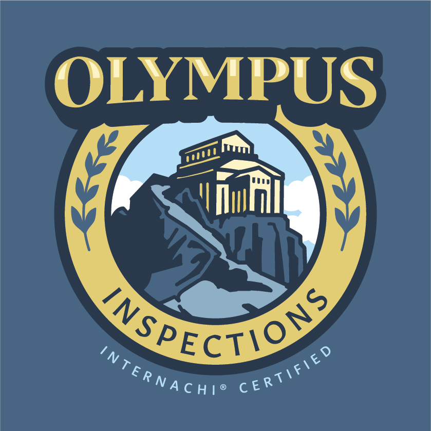Avatar for Olympus Inspections