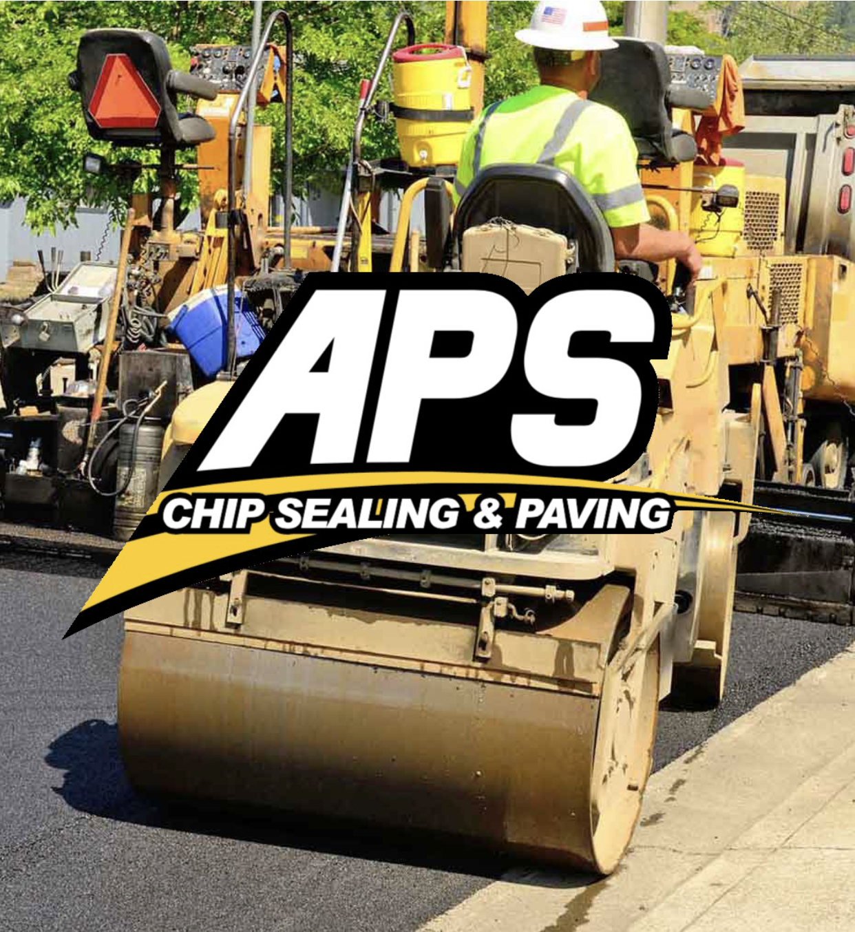 Avatar for APS
