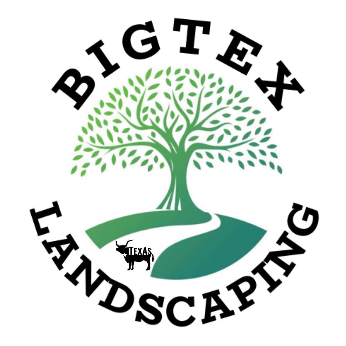 Avatar for Big Tex Landscaping LLC