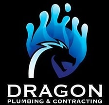 Avatar for Dragon Plumbing & Contracting LLC